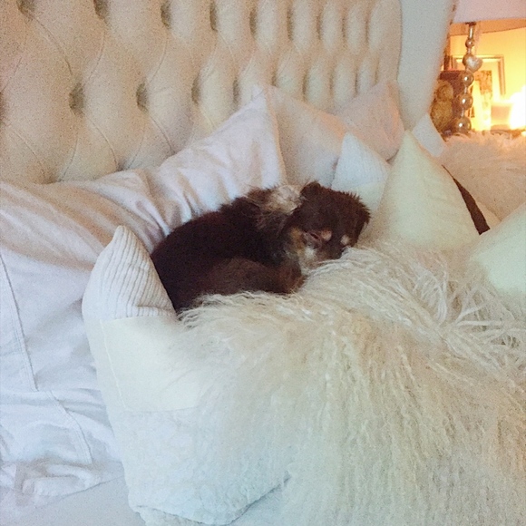 Meet your Posher, Dagmara - Picture 4 of 5